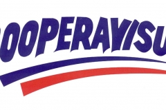 Coperavisu